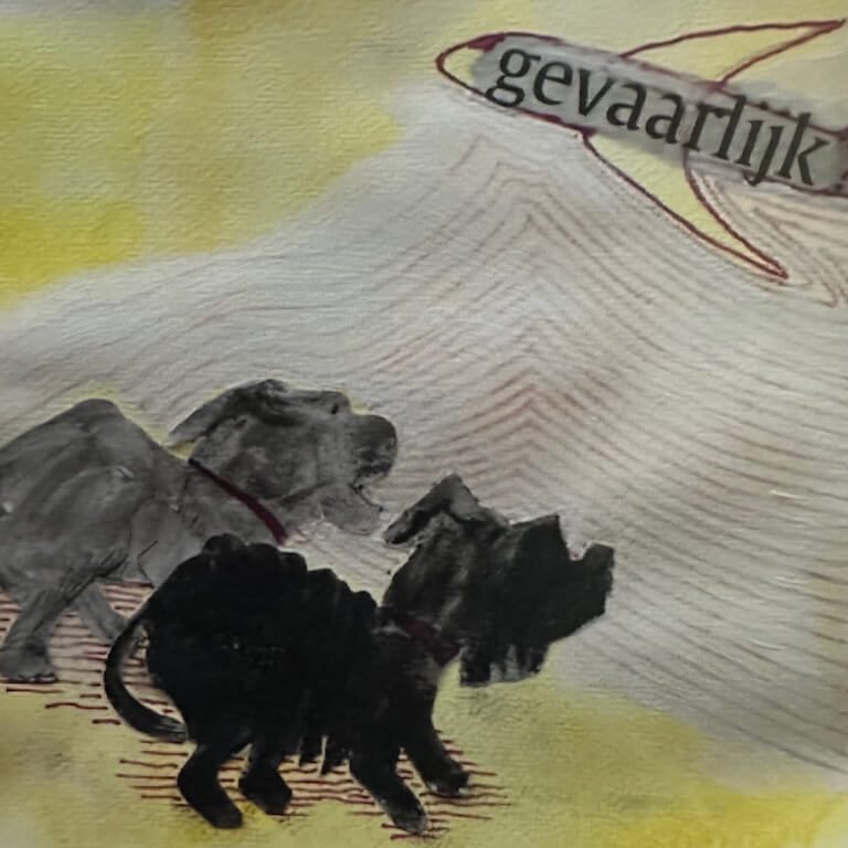 gevaar